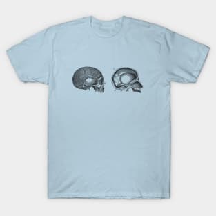 Human Skull - Classic Anatomy T-Shirt